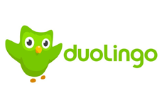 Duolingo Störungen